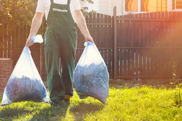 Best Basement Cleanout Services  in Bertville, AL